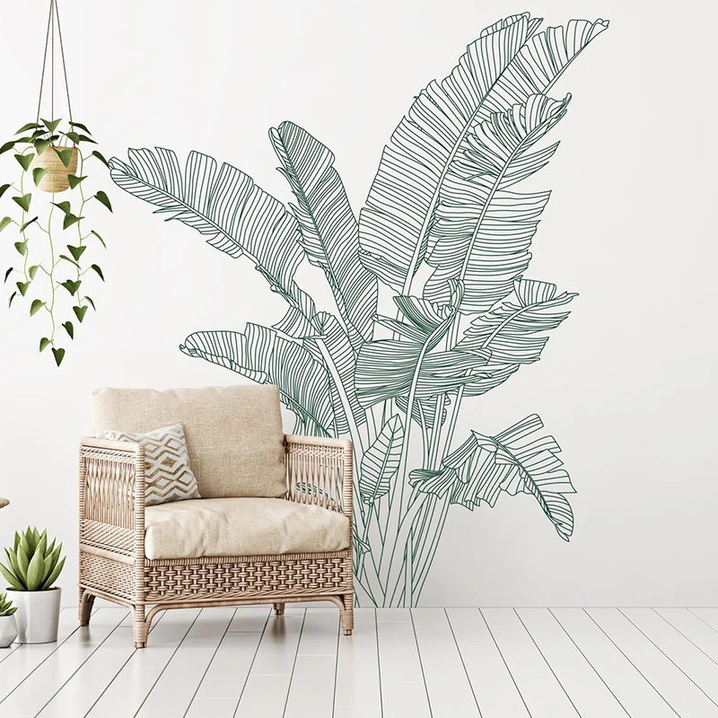Chim Thiên Đường Lớn Thực Vật  - đánh giá và giá Monstera Thai Constellation