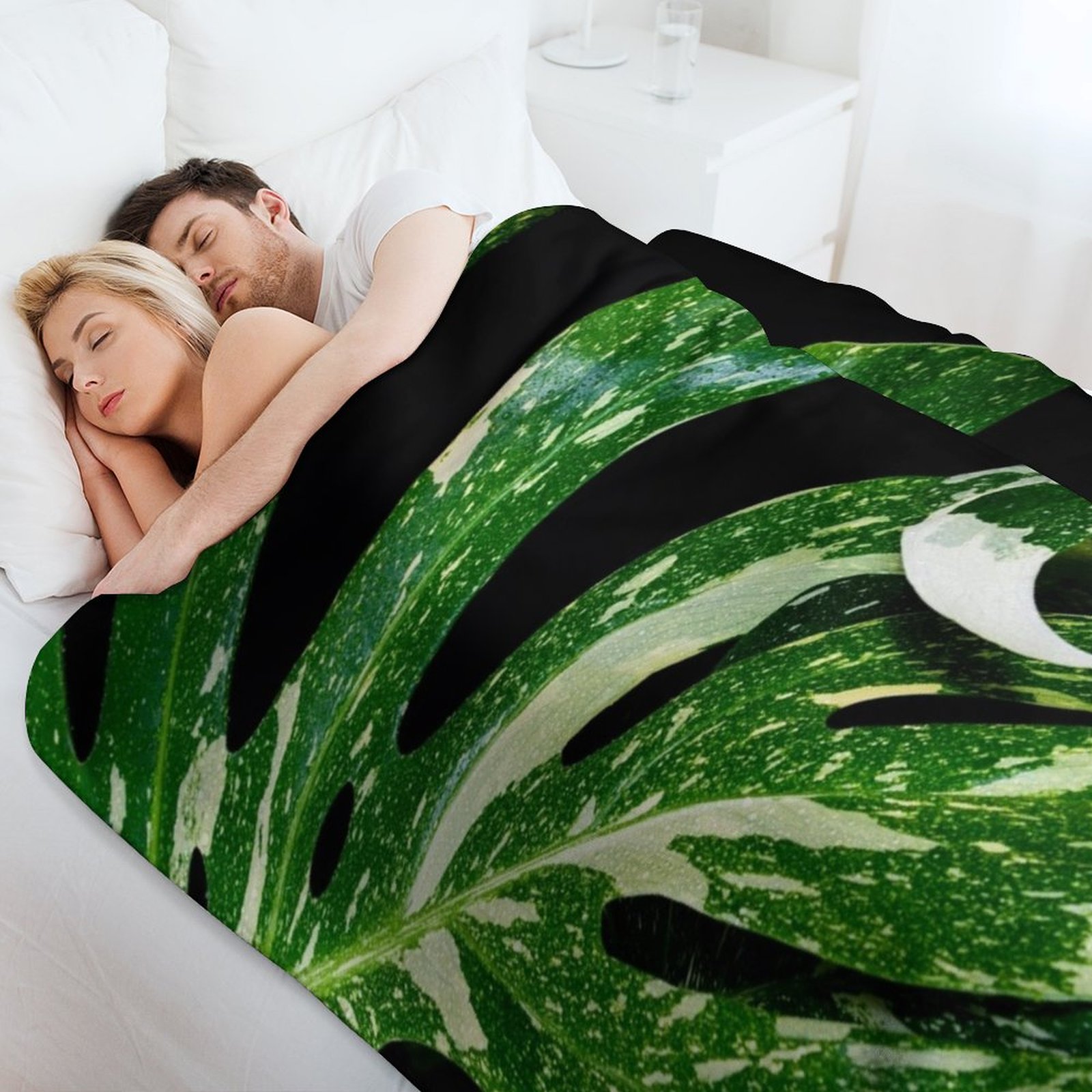 Monstera Thai Constellation Th - đánh giá và giá Monstera Thai Constellation
